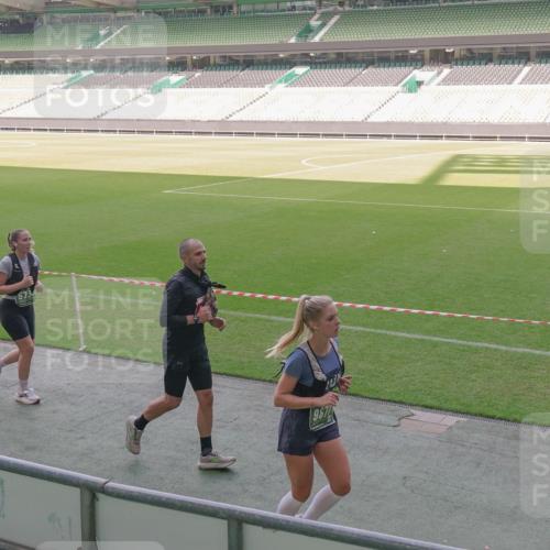 13.09.2026 - 21. swb-Marathon Bremen Michael Burmester http://msf.ph/oto/10342285 13.09.2026 13:25:24 Laufen im Stadion 213, 294, 505, 530, 543, 548, 645, 723, 739, 752, 815, 818, 966, 1273, 1283, 1410, 1443, 1459, 1463, 1471, 1487, 1491, 1504, 1515, 1530, 1561, 1618, 1744, 1828, 1830, 1944, 1953, 2058, 2059, 2095, 2211, 2252, 2267, 2271, 2298, 2308, 2312, 2323, 2354, 2382, 2384, 2465, 2483, 2497, 2506, 2554, 2558, 2571, 2591, 2644, 2656, 2675, 2752, 2762, 2776, 2833, 2878, 2896, 2970, 2981, 3005, 3062, 3097, 3142, 3172, 3211, 3259, 3298, 3306, 3312, 3329, 3381, 3390, 3433 meine-sportfotos.de