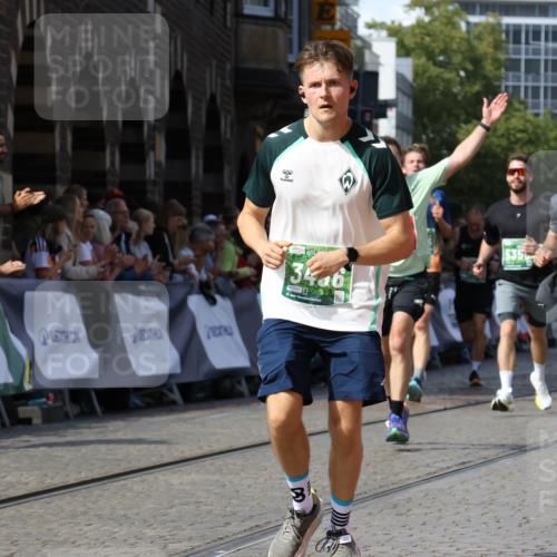 13.09.2026 - 21. swb-Marathon Bremen Strokosch-Dieckow http://msf.ph/oto/10343149 13.09.2026 13:27:20 Ziel 531, 946, 1493, 1494, 2089, 2454, 3076, 3302, 3510, 3527, 4121, 4327, 4397, 4563, 4919, 5689, 5937, 5943, 6314, 6455, 7027, 7072, 7246, 7317, 8303, 9150, 9511, 9551, 9854, 9878, 323, 593, 940, 1006, 1373, 1574, 2345, 2668, 3460, 3496, 3521, 5081, 5220, 5290, 5358, 5557, 5616, 6306, 7110 meine-sportfotos.de