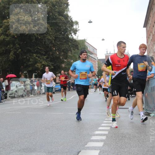 13.09.2026 - Kiel Lauf Markus Tischler http://msf.ph/oto/10343514 13.09.2026 11:37:03 Fleethörn 9006, 530 meine-sportfotos.de