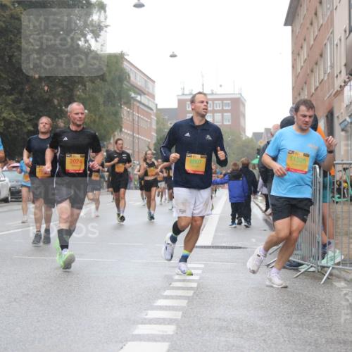13.09.2026 - Kiel Lauf Markus Tischler http://msf.ph/oto/10344180 13.09.2026 11:38:44 Fleethörn 8007, 2024, 39, 11525, 3 meine-sportfotos.de