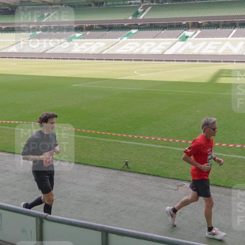 13.09.2026 - 21. swb-Marathon Bremen Michael Burmester http://msf.ph/oto/10345212 13.09.2026 13:31:38 Laufen im Stadion 122, 224, 295, 297, 344, 386, 487, 617, 639, 690, 806, 840, 965, 1114, 1133, 1142, 1310, 1314, 1326, 1329, 1427, 1529, 1775, 1801, 1869, 1892, 1897, 1904, 1923, 2216, 2242, 2249, 2253, 2270, 2274, 2344, 2368, 2372, 2523, 2556, 2629, 2637, 2643, 2649, 2677, 2719, 2726, 2869, 2871, 2877, 2918, 2945, 2952, 2994, 3038, 3094, 3101, 3140, 3223, 3227, 3350, 3379, 3401, 3426, 3572, 3644, 3723, 3736, 3746, 3873, 3876, 3918, 3944, 357 meine-sportfotos.de
