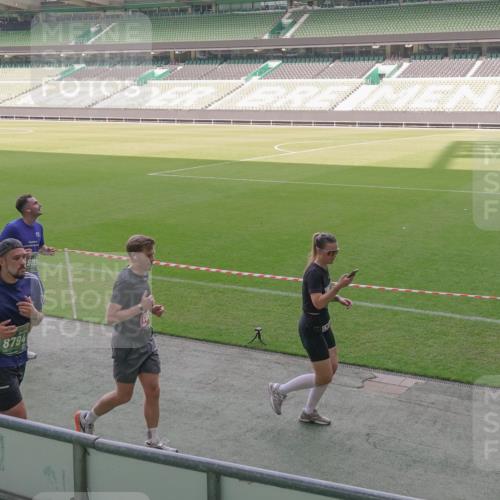 13.09.2026 - 21. swb-Marathon Bremen Michael Burmester http://msf.ph/oto/10345486 13.09.2026 13:32:24 Laufen im Stadion 295, 344, 350, 386, 487, 490, 617, 690, 786, 787, 840, 965, 1133, 1142, 1292, 1310, 1314, 1326, 1329, 1377, 1427, 1591, 1592, 1775, 1801, 1869, 1892, 1897, 1904, 1923, 2077, 2230, 2231, 2253, 2270, 2274, 2320, 2344, 2374, 2456, 2514, 2523, 2539, 2556, 2616, 2630, 2643, 2649, 2677, 2726, 2769, 2848, 2877, 2945, 2952, 3014, 3038, 3094, 3140, 3223, 3350, 3379, 3401, 3426, 3572, 3601, 3644, 3723, 3736, 3746, 3901, 3918, 3944 meine-sportfotos.de