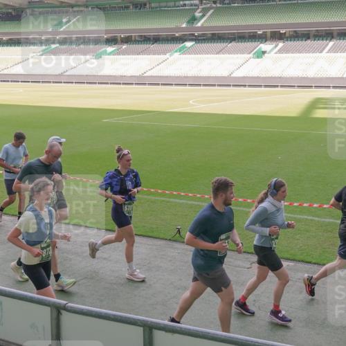 13.09.2026 - 21. swb-Marathon Bremen Michael Burmester http://msf.ph/oto/10345619 13.09.2026 13:32:43 Laufen im Stadion 155, 295, 344, 350, 386, 487, 490, 594, 617, 690, 765, 786, 787, 840, 965, 1001, 1051, 1133, 1142, 1292, 1310, 1326, 1329, 1377, 1427, 1591, 1592, 1801, 1869, 1892, 1897, 1904, 1923, 2077, 2132, 2226, 2230, 2231, 2253, 2270, 2274, 2320, 2344, 2374, 2399, 2400, 2456, 2514, 2523, 2539, 2556, 2616, 2630, 2649, 2718, 2726, 2769, 2848, 2945, 3014, 3038, 3140, 3223, 3350, 3379, 3426, 3572, 3601, 3614, 3644, 3736, 3746, 3797, 3901, 3918, 3944 meine-sportfotos.de