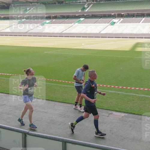 13.09.2026 - 21. swb-Marathon Bremen Michael Burmester http://msf.ph/oto/10345635 13.09.2026 13:32:46 Laufen im Stadion 155, 344, 350, 386, 487, 490, 594, 617, 690, 765, 786, 787, 965, 1001, 1051, 1133, 1142, 1292, 1310, 1326, 1329, 1377, 1427, 1591, 1592, 1801, 1869, 1892, 1897, 1904, 1923, 2077, 2132, 2226, 2230, 2231, 2253, 2270, 2274, 2320, 2344, 2374, 2399, 2400, 2456, 2514, 2523, 2539, 2556, 2616, 2630, 2649, 2718, 2726, 2769, 2848, 2945, 2982, 3014, 3140, 3223, 3350, 3379, 3426, 3572, 3601, 3614, 3644, 3736, 3746, 3797, 3901, 3944 meine-sportfotos.de