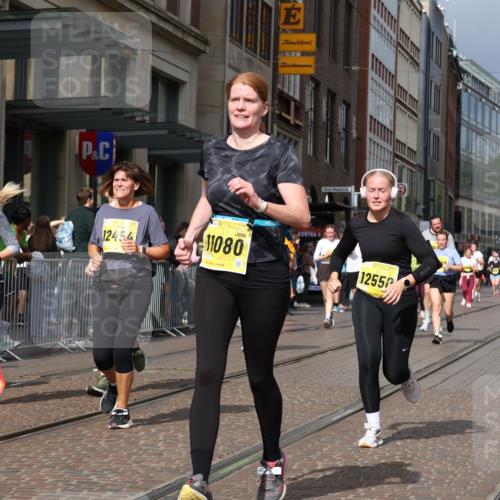 13.09.2026 - 21. swb-Marathon Bremen Strokosch-Dieckow http://msf.ph/oto/10346676 13.09.2026 11:10:16 Ziel 10002, 10169, 10247, 10361, 10422, 10706, 10719, 10768, 10791, 10890, 11047, 11080, 11283, 11298, 11300, 11309, 11327, 11583, 11736, 11846, 11957, 11982, 12183, 12227, 12454, 12550, 10299, 10361, 10362, 10435, 10751, 10963, 11119, 11382, 11725, 11732, 11933, 12117, 12207, 12293 meine-sportfotos.de