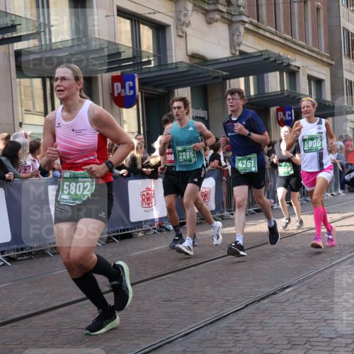 13.09.2026 - 21. swb-Marathon Bremen Strokosch-Dieckow http://msf.ph/oto/10347071 13.09.2026 13:30:33 Ziel 244, 800, 834, 1189, 1479, 1533, 1771, 1841, 1926, 1941, 2369, 2452, 2723, 2902, 2985, 3360, 4251, 4342, 4757, 4920, 5600, 5681, 5802, 5822, 5900, 6307, 6343, 6523, 7012, 7198, 7760, 7798, 8543, 8616, 9290, 9507, 9653, 9692, 9699, 9767, 9937, 9958, 9962, 9976, 13090, 13152, 13215, 625, 881, 1067, 1909, 1938, 2265, 2364, 2900, 3163, 3164, 3425, 4058, 4206, 4332, 4342, 4415, 4425, 4748, 4757, 4763, 5506, 5551, 7821, 8090, 8169, 8314, 8494 meine-sportfotos.de