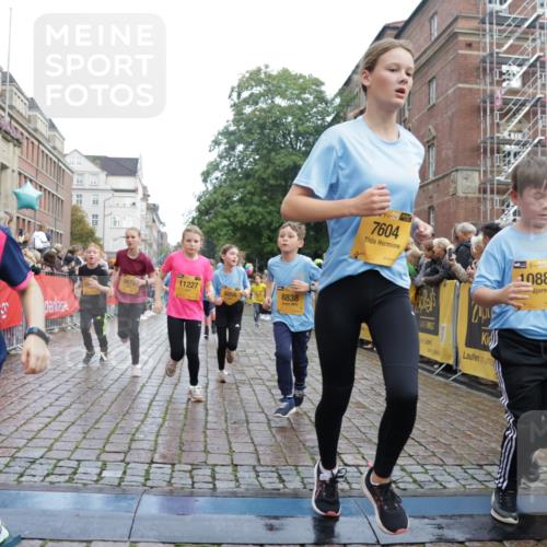 13.09.2026 - Kiel Lauf Yannick Fuchs http://msf.ph/oto/10351175 13.09.2026 08:57:33 Ziel 160, 406, 700, 1051, 1546, 1769, 2128, 2129, 4834, 5006, 5984, 6459, 7478, 7715, 9062, 9324, 9579, 10428, 10876, 11356, 2384, 3382, 3665, 4908, 5003, 5340, 5719, 5809, 7752, 8341, 9542, 10321, 10892, 11495, 11558, 12215, 12455, 12512, 57, 689, 1520, 1714, 2326, 2439, 3020, 3359, 3375, 3691, 4182, 4185, 4321, 4382, 4383, 5093, 5219, 5244, 5666, 5733, 5762, 5765, 5895, 6056, 7058, 7547, 7604, 7608, 7609, 8668, 8838, 9870, 9872, 10847, 10889, 11227, 81, 2384 meine-sportfotos.de