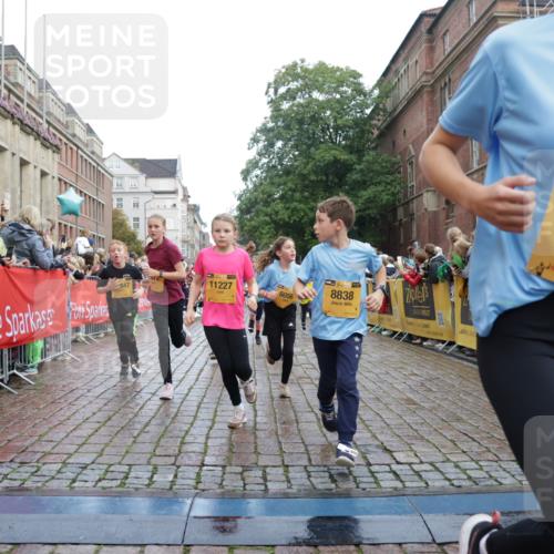 13.09.2026 - Kiel Lauf Yannick Fuchs http://msf.ph/oto/10351346 13.09.2026 08:57:34 Ziel 160, 406, 700, 1051, 1546, 1769, 2128, 2129, 2439, 4382, 4834, 5006, 5984, 6459, 7478, 7547, 7715, 9062, 9324, 9579, 10428, 10876, 11356, 2129, 2384, 3382, 3665, 4908, 5003, 5340, 5719, 5809, 7752, 8341, 9542, 10321, 10892, 11495, 11558, 12215, 12455, 12512, 57, 689, 1520, 1714, 2326, 3020, 3359, 3375, 3691, 4182, 4185, 4321, 4383, 5093, 5219, 5244, 5666, 5733, 5762, 5765, 5895, 6056, 7058, 7604, 7608, 7609, 8668, 8838, 9870, 9872, 10847, 10889, 11227, 81, 2384 meine-sportfotos.de