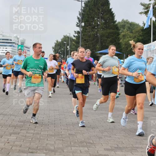 13.09.2026 - Kiel Lauf Andreas Tolksdorf http://msf.ph/oto/10353683 13.09.2026 09:57:16 Kiellinie 84, 39, 6287, 8678, 0790, 3463 meine-sportfotos.de