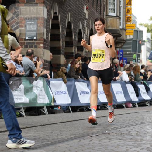 13.09.2026 - 21. swb-Marathon Bremen Strokosch-Dieckow http://msf.ph/oto/10364342 13.09.2026 10:59:34 Ziel 10415, 10492, 10668, 11086, 11125, 11301, 11302, 11500, 11913, 12118, 12200, 12267, 12297, 12537, 12541, 10236, 10355, 10669, 10928, 10929, 11054, 11056, 11089, 11194, 11419, 11501, 11803, 12138, 12242, 12243, 12480, 12527 meine-sportfotos.de
