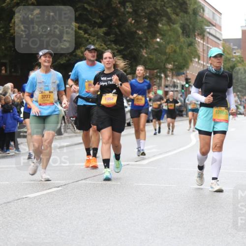 13.09.2026 - Kiel Lauf Markus Tischler http://msf.ph/oto/10364818 13.09.2026 12:01:47 Fleethörn 1000, 800, 5411, 3777, 1954, 9506, 12665, 10018 meine-sportfotos.de