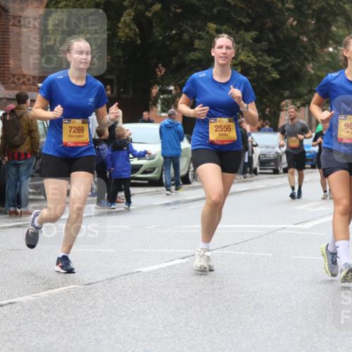 13.09.2026 - Kiel Lauf Markus Tischler http://msf.ph/oto/10364873 13.09.2026 12:01:51 Fleethörn 300, 7269, 38, 2556, 9506 meine-sportfotos.de