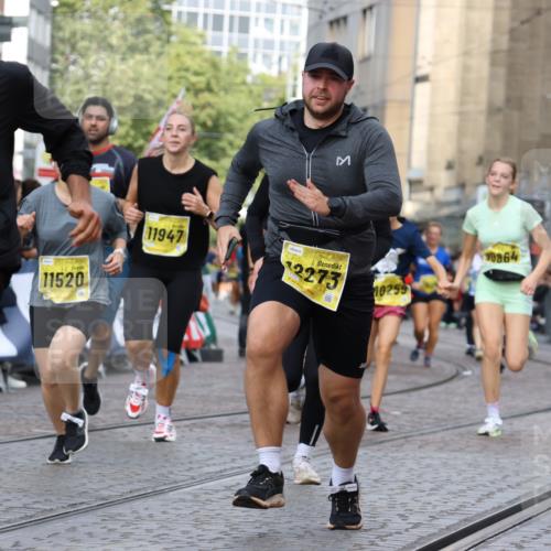 13.09.2026 - 21. swb-Marathon Bremen Strokosch-Dieckow http://msf.ph/oto/10383098 13.09.2026 11:05:43 Ziel 10186, 10411, 10432, 10576, 10697, 10717, 10802, 10995, 11102, 11146, 11157, 11218, 11314, 11326, 11334, 11387, 11394, 11521, 11571, 11572, 11616, 11724, 12011, 12055, 12079, 12080, 12251, 12273, 12330, 10018, 10168, 10305, 10382, 10619, 11024, 11132, 11164, 11477, 12186, 12378, 12523, 12528, 12773 meine-sportfotos.de