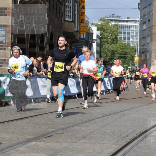 13.09.2026 - 21. swb-Marathon Bremen Strokosch-Dieckow http://msf.ph/oto/10385655 13.09.2026 11:07:25 Ziel 10156, 10360, 11100, 11257, 11393, 11439, 11600, 11684, 11696, 11822, 11823, 12255, 10138, 10279, 10280, 10363, 10364, 10501, 10505, 10580, 10907, 10935, 11223, 11643, 11767, 11899, 11924, 11934, 12167, 12168, 12194, 12210, 12277, 12419, 12509 meine-sportfotos.de
