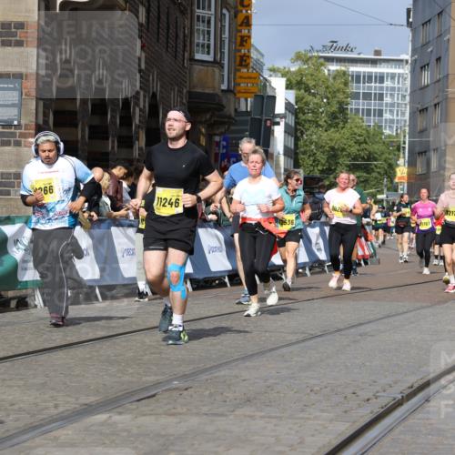 13.09.2026 - 21. swb-Marathon Bremen Strokosch-Dieckow http://msf.ph/oto/10385666 13.09.2026 11:07:25 Ziel 10156, 10360, 11100, 11257, 11393, 11439, 11600, 11684, 11696, 11822, 11823, 12255, 10138, 10279, 10280, 10363, 10364, 10501, 10505, 10580, 10907, 10935, 11223, 11643, 11767, 11899, 11924, 11934, 12167, 12168, 12194, 12210, 12277, 12419, 12509 meine-sportfotos.de