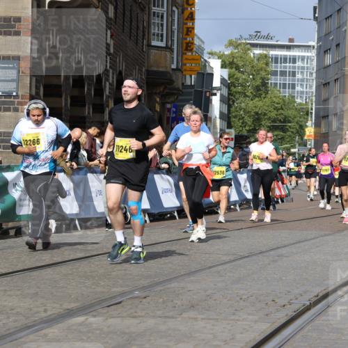 13.09.2026 - 21. swb-Marathon Bremen Strokosch-Dieckow http://msf.ph/oto/10385677 13.09.2026 11:07:25 Ziel 10156, 10360, 11100, 11257, 11393, 11439, 11600, 11684, 11696, 11822, 11823, 12255, 10138, 10279, 10280, 10363, 10364, 10501, 10505, 10580, 10907, 10935, 11223, 11643, 11767, 11899, 11924, 11934, 12167, 12168, 12194, 12210, 12277, 12419, 12509 meine-sportfotos.de