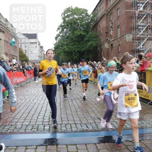 13.09.2026 - Kiel Lauf Yannick Fuchs http://msf.ph/oto/10405833 13.09.2026 08:57:57 Ziel 57, 1791, 2326, 2964, 3020, 3891, 4025, 4185, 5093, 5666, 5895, 6056, 6984, 7058, 7604, 8668, 8674, 8675, 8682, 8838, 9085, 9582, 9870, 9872, 10757, 10847, 10889, 11142, 11144, 11227, 11339, 11640, 11860, 12157, 160, 406, 689, 700, 1051, 1520, 1546, 1714, 1769, 2128, 2129, 2439, 3359, 3375, 3691, 4182, 4321, 4382, 4383, 4834, 5006, 5219, 5244, 5733, 5762, 5765, 5984, 6459, 7058, 7478, 7547, 7608, 7609, 7715, 9062, 9324, 9579, 10876, 11356, 734, 1462, 2908, 3567 meine-sportfotos.de