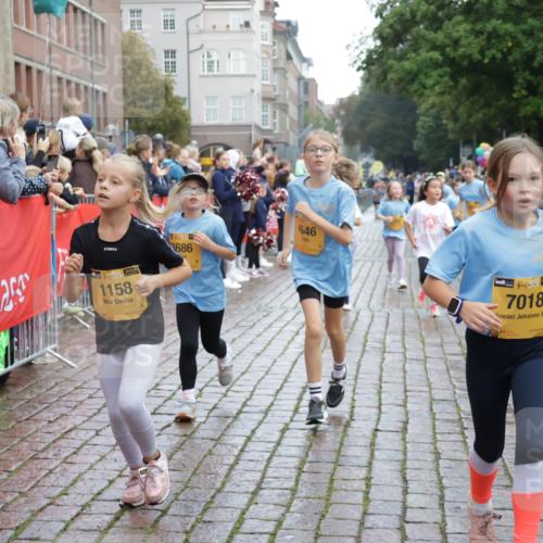 13.09.2026 - Kiel Lauf Yannick Fuchs http://msf.ph/oto/10405878 13.09.2026 08:58:01 Ziel 57, 1462, 1791, 2326, 2964, 3567, 3891, 4025, 4185, 4995, 5093, 6056, 6350, 6984, 7574, 7812, 8674, 8675, 8682, 9085, 9582, 9872, 10350, 10427, 10566, 10757, 10847, 11142, 11144, 11339, 11860, 160, 406, 689, 1051, 1520, 1546, 1714, 1769, 2439, 3020, 3359, 3375, 3691, 4182, 4321, 4382, 4383, 4834, 5006, 5219, 5244, 5666, 5733, 5762, 5765, 5895, 5984, 6056, 6459, 7058, 7478, 7547, 7604, 7608, 7609, 7715, 8668, 9062, 9324, 9579, 10876, 11356, 734, 2908 meine-sportfotos.de