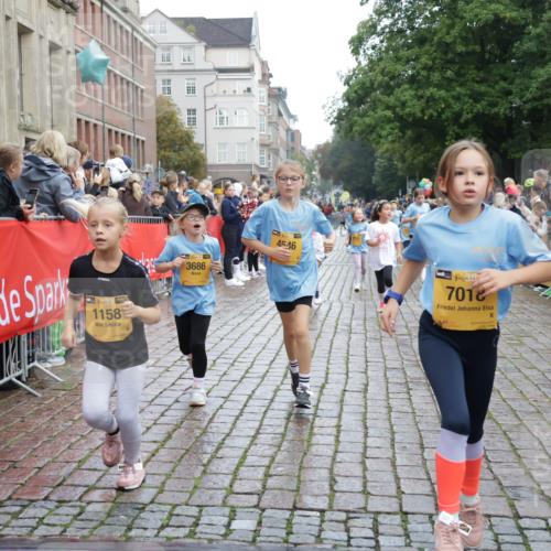 13.09.2026 - Kiel Lauf Yannick Fuchs http://msf.ph/oto/10405884 13.09.2026 08:58:01 Ziel 57, 1462, 1791, 2326, 2964, 3567, 3891, 4025, 4185, 4995, 5093, 6056, 6350, 6984, 7574, 7812, 8674, 8675, 8682, 9085, 9582, 9872, 10350, 10427, 10566, 10757, 10847, 11142, 11144, 11339, 11860, 160, 406, 689, 1051, 1520, 1546, 1714, 1769, 2439, 3020, 3359, 3375, 3691, 4182, 4321, 4382, 4383, 4834, 5006, 5219, 5244, 5666, 5733, 5762, 5765, 5895, 5984, 6056, 6459, 7058, 7478, 7547, 7604, 7608, 7609, 7715, 8668, 9062, 9324, 9579, 10876, 11356, 734, 2908 meine-sportfotos.de