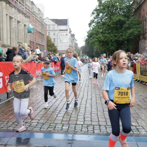 13.09.2026 - Kiel Lauf Yannick Fuchs http://msf.ph/oto/10405889 13.09.2026 08:58:02 Ziel 57, 1462, 1791, 2326, 2964, 3567, 3891, 4025, 4185, 4995, 5093, 6350, 6984, 7574, 7576, 7812, 8674, 8675, 8682, 9085, 9097, 9582, 10350, 10427, 10566, 10757, 11142, 11144, 11339, 57, 160, 406, 689, 1051, 1520, 1546, 1714, 1769, 2439, 3020, 3359, 3375, 3691, 4182, 4185, 4321, 4382, 4383, 4834, 5006, 5219, 5244, 5666, 5733, 5762, 5765, 5895, 5984, 6056, 6459, 7058, 7547, 7604, 7608, 7609, 7715, 8668, 9062, 9324, 9579, 10876, 11356, 734, 2908 meine-sportfotos.de