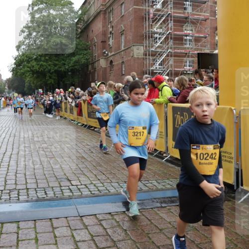 13.09.2026 - Kiel Lauf Yannick Fuchs http://msf.ph/oto/10405952 13.09.2026 08:58:08 Ziel 1462, 1791, 2908, 3567, 3891, 4025, 4491, 4995, 4999, 5005, 6246, 6350, 6428, 6984, 7026, 7031, 7574, 7576, 7812, 8674, 8675, 8682, 9097, 9372, 9490, 9585, 9622, 10350, 10427, 10566, 11142, 11638, 11673, 12216, 12357, 57, 406, 689, 1051, 1520, 1714, 2326, 2439, 2964, 3020, 3359, 3375, 3691, 4025, 4182, 4185, 4321, 4382, 4383, 5006, 5093, 5219, 5244, 5666, 5733, 5762, 5765, 5895, 6056, 7058, 7547, 7604, 7608, 7609, 8668, 8674, 8675, 9324, 9579, 11356, 734 meine-sportfotos.de