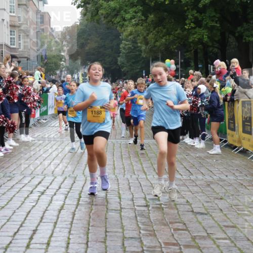 13.09.2026 - Kiel Lauf Yannick Fuchs http://msf.ph/oto/10405978 13.09.2026 08:58:11 Ziel 734, 1462, 1791, 2710, 2908, 3145, 3150, 3567, 4491, 4550, 4995, 4999, 5005, 6246, 6350, 6428, 6984, 7026, 7031, 7574, 7576, 7812, 9097, 9372, 9490, 9585, 9622, 10350, 10427, 10566, 10899, 11077, 11638, 11673, 12216, 12357, 57, 406, 689, 1051, 1520, 1714, 1791, 2326, 2439, 2964, 3020, 3359, 3375, 3691, 3891, 4025, 4182, 4185, 4321, 4382, 4383, 5093, 5219, 5244, 5666, 5733, 5762, 5765, 5895, 6056, 7058, 7547, 7604, 7608, 7609, 8668, 8674, 8675, 9324 meine-sportfotos.de