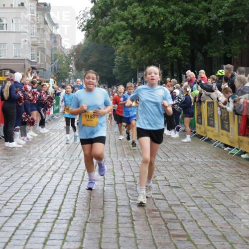 13.09.2026 - Kiel Lauf Yannick Fuchs http://msf.ph/oto/10405980 13.09.2026 08:58:11 Ziel 734, 1462, 1791, 2710, 2908, 3145, 3150, 3567, 4491, 4550, 4995, 4999, 5005, 6246, 6350, 6428, 6984, 7026, 7031, 7574, 7576, 7812, 9097, 9372, 9490, 9585, 9622, 10350, 10427, 10566, 10899, 11077, 11638, 11673, 12216, 12357, 57, 406, 689, 1051, 1520, 1714, 1791, 2326, 2439, 2964, 3020, 3359, 3375, 3691, 3891, 4025, 4182, 4185, 4321, 4382, 4383, 5093, 5219, 5244, 5666, 5733, 5762, 5765, 5895, 6056, 7058, 7547, 7604, 7608, 7609, 8668, 8674, 8675, 9324 meine-sportfotos.de
