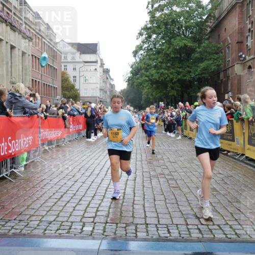 13.09.2026 - Kiel Lauf Yannick Fuchs http://msf.ph/oto/10405989 13.09.2026 08:58:13 Ziel 734, 1462, 2710, 2908, 3145, 3150, 3492, 3567, 4491, 4550, 4995, 4999, 5005, 6246, 6350, 6428, 6588, 7018, 7026, 7031, 7574, 7576, 7812, 9097, 9372, 9490, 9585, 9622, 9701, 10350, 10427, 10566, 10890, 10899, 11077, 11638, 11673, 12216, 12357, 57, 689, 1520, 1714, 1791, 2326, 2439, 2964, 3020, 3359, 3375, 3691, 3891, 4025, 4182, 4185, 4321, 4382, 4383, 5093, 5219, 5244, 5666, 5733, 5762, 5765, 5895, 6056, 6984, 7058, 7547, 7604, 7608, 7609, 8668, 8674, 8675, 9324 meine-sportfotos.de