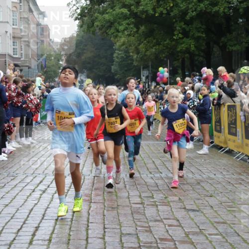 13.09.2026 - Kiel Lauf Yannick Fuchs http://msf.ph/oto/10406102 13.09.2026 08:58:24 Ziel 734, 1158, 1382, 2710, 3145, 3150, 3217, 3492, 3686, 4115, 4546, 4550, 4622, 5908, 6588, 7018, 8067, 9620, 9701, 9852, 10242, 10890, 10899, 10925, 11077, 57, 734, 1462, 1791, 2326, 2908, 2964, 3020, 3567, 3891, 4025, 4185, 4491, 4550, 4995, 4999, 5005, 5093, 5666, 5895, 6056, 6246, 6350, 6428, 6984, 7026, 7031, 7574, 7576, 7604, 7812, 8668, 8674, 8675, 9097, 9372, 9490, 9585, 9622, 10566, 10899, 11638, 11673, 12216, 5201, 5536, 5537, 6573, 7407, 57, 3020, 5666, 5895, 7058 meine-sportfotos.de