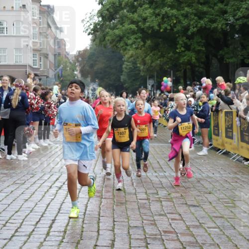 13.09.2026 - Kiel Lauf Yannick Fuchs http://msf.ph/oto/10406104 13.09.2026 08:58:25 Ziel 1158, 1188, 1382, 2710, 3145, 3150, 3217, 3492, 3686, 4115, 4546, 4622, 5908, 6588, 7018, 8067, 9620, 9701, 9852, 10242, 10890, 10925, 11077, 57, 734, 1462, 1791, 2326, 2710, 2908, 2964, 3020, 3567, 3891, 4025, 4185, 4491, 4550, 4995, 4999, 5005, 5093, 5666, 6056, 6246, 6350, 6428, 6984, 7026, 7031, 7574, 7576, 7812, 8674, 8675, 9097, 9372, 9490, 9585, 9622, 10566, 10899, 11638, 11673, 12216, 1348, 5201, 5536, 5537, 6573, 7407, 57, 3020, 5666, 5895, 7058 meine-sportfotos.de