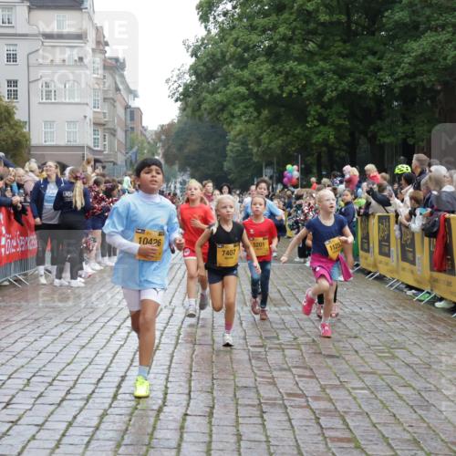 13.09.2026 - Kiel Lauf Yannick Fuchs http://msf.ph/oto/10406111 13.09.2026 08:58:25 Ziel 1158, 1188, 1382, 2710, 3145, 3150, 3217, 3492, 3686, 4115, 4546, 4622, 5908, 6588, 7018, 8067, 9620, 9701, 9852, 10242, 10890, 10925, 11077, 57, 734, 1462, 1791, 2326, 2710, 2908, 2964, 3020, 3567, 3891, 4025, 4185, 4491, 4550, 4995, 4999, 5005, 5093, 5666, 6056, 6246, 6350, 6428, 6984, 7026, 7031, 7574, 7576, 7812, 8674, 8675, 9097, 9372, 9490, 9585, 9622, 10566, 10899, 11638, 11673, 12216, 1348, 5201, 5536, 5537, 6573, 7407, 57, 3020, 5666, 5895, 7058 meine-sportfotos.de