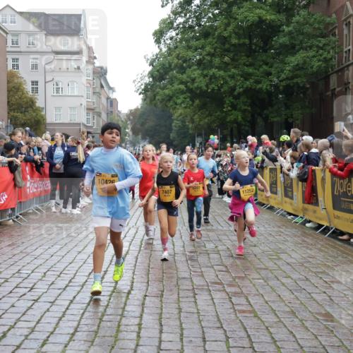 13.09.2026 - Kiel Lauf Yannick Fuchs http://msf.ph/oto/10406117 13.09.2026 08:58:25 Ziel 1158, 1188, 1382, 2710, 3145, 3150, 3217, 3492, 3686, 4115, 4546, 4622, 5908, 6588, 7018, 8067, 9620, 9701, 9852, 10242, 10890, 10925, 11077, 57, 734, 1462, 1791, 2326, 2710, 2908, 2964, 3020, 3567, 3891, 4025, 4185, 4491, 4550, 4995, 4999, 5005, 5093, 5666, 6056, 6246, 6350, 6428, 6984, 7026, 7031, 7574, 7576, 7812, 8674, 8675, 9097, 9372, 9490, 9585, 9622, 10566, 10899, 11638, 11673, 12216, 1348, 5201, 5536, 5537, 6573, 7407, 57, 3020, 5666, 5895, 7058 meine-sportfotos.de