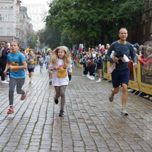 13.09.2026 - Kiel Lauf Yannick Fuchs http://msf.ph/oto/10406235 13.09.2026 08:58:37 Ziel 515, 1188, 2100, 4965, 5092, 5200, 5536, 5537, 5908, 7022, 8354, 11430, 11783, 12297, 734, 1158, 1382, 1462, 2710, 2908, 3145, 3150, 3217, 3492, 3567, 3686, 4115, 4491, 4546, 4550, 4622, 4995, 4999, 5005, 6246, 6350, 6428, 6588, 6984, 7018, 7026, 7031, 7574, 7576, 7812, 8067, 9097, 9372, 9490, 9585, 9620, 9622, 9701, 9852, 10242, 10566, 10890, 10899, 10925, 11077, 11638, 11673, 12216, 27, 339, 1119, 1348, 3242, 5201, 6151, 6573, 6896, 7223, 7407 meine-sportfotos.de