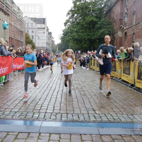 13.09.2026 - Kiel Lauf Yannick Fuchs http://msf.ph/oto/10406246 13.09.2026 08:58:38 Ziel 515, 1188, 2100, 4965, 5092, 5200, 5536, 5537, 5908, 7022, 7407, 8354, 11430, 11783, 12297, 734, 1158, 1382, 1462, 2710, 2908, 3145, 3150, 3217, 3492, 3567, 3686, 4115, 4491, 4546, 4550, 4622, 4995, 4999, 5005, 6246, 6350, 6428, 6588, 7018, 7026, 7031, 7574, 7576, 7812, 8067, 9097, 9372, 9490, 9585, 9620, 9622, 9701, 9852, 10242, 10566, 10890, 10899, 10925, 11077, 11638, 11673, 12216, 27, 339, 1119, 1348, 3242, 5201, 6151, 6573, 6883, 6896, 7223, 8944 meine-sportfotos.de