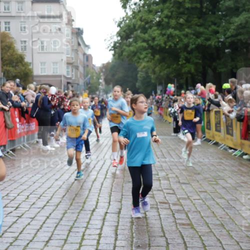 13.09.2026 - Kiel Lauf Yannick Fuchs http://msf.ph/oto/10406280 13.09.2026 08:58:42 Ziel 27, 339, 515, 1348, 2100, 5092, 5200, 5201, 5536, 5537, 6573, 7022, 7407, 8354, 9773, 11252, 11430, 11783, 12297, 12517, 734, 1158, 1188, 1382, 2710, 2908, 3145, 3150, 3217, 3492, 3686, 4115, 4491, 4546, 4550, 4622, 4965, 4999, 5005, 5908, 6246, 6428, 6588, 7018, 7026, 7031, 7576, 8067, 9097, 9372, 9490, 9585, 9620, 9622, 9701, 9852, 10242, 10890, 10899, 10925, 11077, 11638, 11673, 12216, 1119, 2725, 3242, 5106, 5629, 6151, 6883, 6896, 7223, 7739, 7916, 8944 meine-sportfotos.de