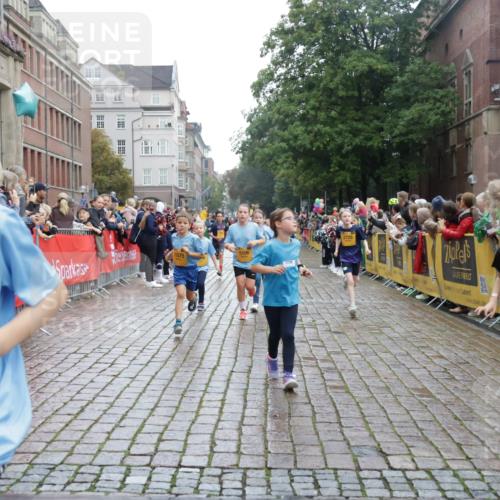13.09.2026 - Kiel Lauf Yannick Fuchs http://msf.ph/oto/10406284 13.09.2026 08:58:42 Ziel 27, 339, 515, 1348, 2100, 5092, 5200, 5201, 5536, 5537, 6573, 7022, 7407, 8354, 9773, 11252, 11430, 11783, 12297, 12517, 734, 1158, 1188, 1382, 2710, 2908, 3145, 3150, 3217, 3492, 3686, 4115, 4491, 4546, 4550, 4622, 4965, 4999, 5005, 5908, 6246, 6428, 6588, 7018, 7026, 7031, 7576, 8067, 9097, 9372, 9490, 9585, 9620, 9622, 9701, 9852, 10242, 10890, 10899, 10925, 11077, 11638, 11673, 12216, 1119, 2725, 3242, 5106, 5629, 6151, 6883, 6896, 7223, 7739, 7916, 8944 meine-sportfotos.de