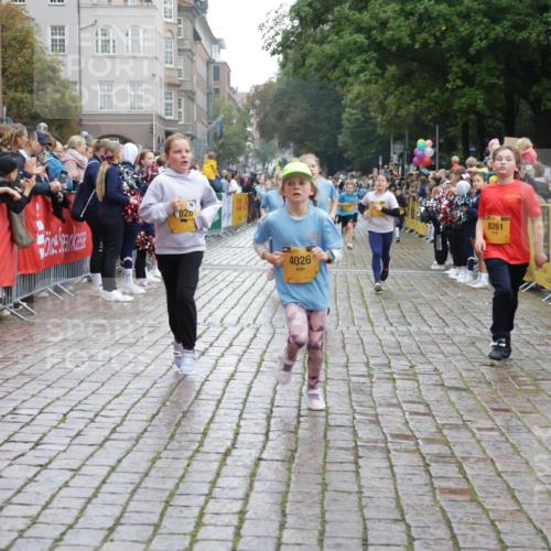13.09.2026 - Kiel Lauf Yannick Fuchs http://msf.ph/oto/10406346 13.09.2026 08:58:48 Ziel 27, 339, 1119, 1348, 3242, 5201, 5536, 5537, 6151, 6573, 7407, 9773, 10211, 10292, 10821, 11252, 11386, 11783, 11924, 12297, 12517, 515, 734, 1158, 1188, 1382, 2100, 2710, 3145, 3150, 3217, 3492, 3686, 4115, 4546, 4550, 4622, 4965, 5092, 5200, 5908, 6588, 7018, 7022, 8067, 8354, 9620, 9622, 9701, 9852, 10242, 10890, 10899, 10925, 11077, 11430, 11783, 118, 512, 1848, 2725, 4026, 5106, 5629, 6883, 6896, 7028, 7223, 7739, 7916, 8261, 8944, 9215, 734, 2710, 3145, 3150 meine-sportfotos.de