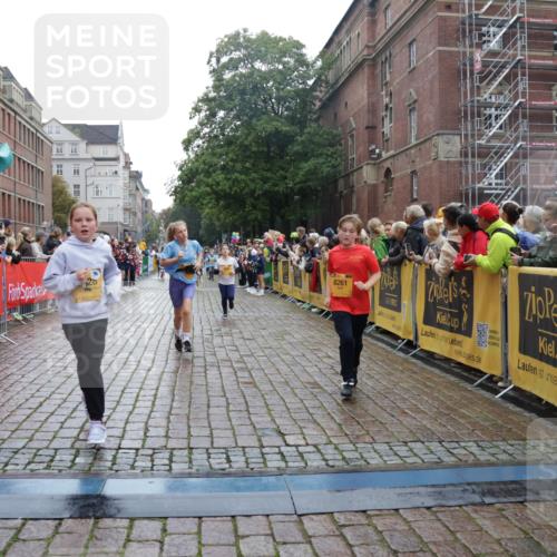 13.09.2026 - Kiel Lauf Yannick Fuchs http://msf.ph/oto/10406367 13.09.2026 08:58:50 Ziel 27, 339, 1119, 1348, 3242, 5201, 5536, 5537, 6151, 6573, 6896, 7223, 7407, 9773, 10211, 10292, 10821, 11252, 11386, 11924, 12297, 12517, 515, 1158, 1188, 1382, 2100, 2710, 3145, 3150, 3217, 3492, 3686, 4115, 4546, 4622, 4965, 5092, 5200, 5536, 5537, 5908, 6588, 7018, 7022, 8067, 8354, 9620, 9701, 9852, 10242, 10890, 10925, 11077, 11430, 11783, 12297, 118, 512, 1848, 2725, 3666, 4026, 5106, 5629, 6883, 7028, 7739, 7916, 8261, 8944, 9215, 734, 2710, 3145, 3150, 3492 meine-sportfotos.de
