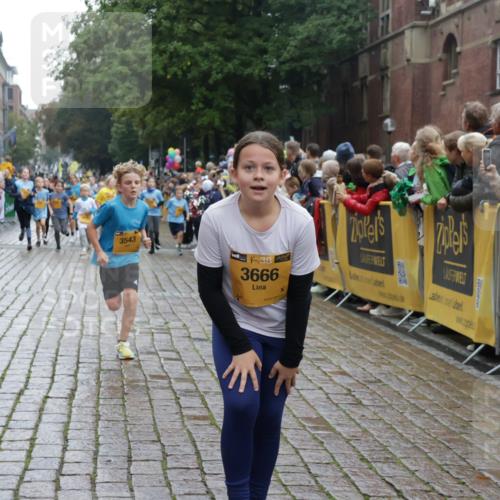 13.09.2026 - Kiel Lauf Yannick Fuchs http://msf.ph/oto/10406395 13.09.2026 08:58:53 Ziel 27, 339, 1119, 1348, 3242, 5201, 6151, 6573, 6883, 6896, 7223, 7407, 8944, 9773, 10211, 10292, 10334, 10821, 11252, 11386, 11924, 12517, 515, 1158, 1188, 1382, 2100, 3217, 3686, 4115, 4546, 4622, 4965, 5092, 5200, 5536, 5537, 5908, 7018, 7022, 7407, 8067, 8354, 9620, 9852, 10242, 10925, 11430, 11783, 12297, 118, 512, 1848, 2725, 3543, 3666, 4026, 5106, 5629, 7028, 7739, 7916, 8261, 9215, 734, 1158, 2710, 3145, 3150, 3492, 3686, 4115, 4546 meine-sportfotos.de