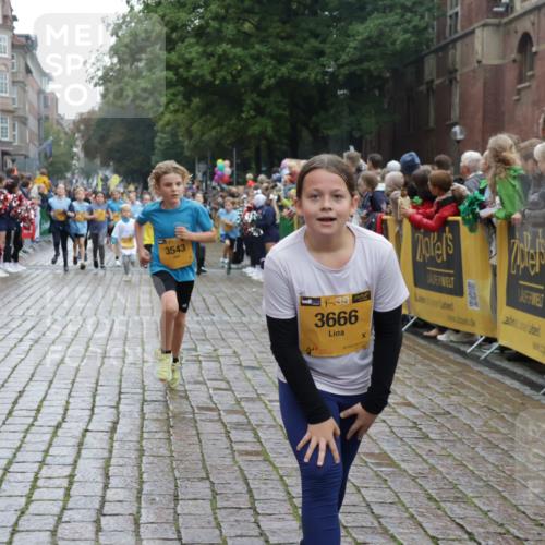 13.09.2026 - Kiel Lauf Yannick Fuchs http://msf.ph/oto/10406398 13.09.2026 08:58:54 Ziel 27, 339, 1119, 1348, 3242, 5201, 6151, 6573, 6883, 6896, 7223, 8944, 9773, 10211, 10292, 10334, 10821, 11201, 11252, 11386, 11924, 12517, 515, 1158, 1188, 1382, 2100, 3217, 3686, 4115, 4546, 4622, 4965, 5092, 5200, 5201, 5536, 5537, 5908, 6573, 7022, 7407, 8067, 8354, 9620, 9852, 10242, 10925, 11252, 11430, 11783, 12297, 118, 512, 1848, 2725, 3543, 3666, 4026, 4064, 5106, 5629, 7028, 7739, 7916, 8261, 9215, 9430, 734, 1158, 2710, 3145, 3150, 3492, 3686, 4115, 4546 meine-sportfotos.de
