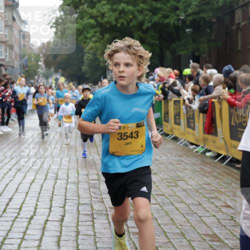 13.09.2026 - Kiel Lauf Yannick Fuchs http://msf.ph/oto/10406408 13.09.2026 08:58:55 Ziel 27, 339, 1119, 1348, 3242, 6151, 6883, 6896, 7223, 7739, 8944, 9773, 10211, 10292, 10334, 10821, 11201, 11386, 11924, 12517, 515, 1158, 1188, 1348, 1382, 2100, 3217, 3686, 4115, 4622, 4965, 5092, 5200, 5201, 5536, 5537, 5908, 6573, 7022, 7407, 8067, 8354, 9852, 10242, 10925, 11252, 11430, 11783, 12297, 118, 512, 1848, 2725, 3543, 3666, 3767, 4026, 4064, 4444, 5106, 5629, 7028, 7706, 7916, 8261, 9215, 9430, 734, 1158, 2710, 3145, 3150, 3492, 3686, 4115, 4546, 4622 meine-sportfotos.de