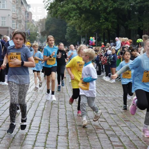 13.09.2026 - Kiel Lauf Yannick Fuchs http://msf.ph/oto/10406446 13.09.2026 08:58:58 Ziel 512, 1119, 1848, 2725, 3242, 5106, 5629, 6151, 6883, 6896, 7223, 7739, 7916, 8944, 10211, 10292, 10334, 10821, 11201, 11386, 11575, 11924, 27, 339, 515, 1188, 1348, 1382, 2100, 3217, 4622, 4965, 5092, 5200, 5201, 5536, 5537, 5908, 6573, 7022, 7407, 8354, 9773, 10211, 10242, 11252, 11430, 11783, 12297, 12517, 118, 3543, 3666, 3767, 4026, 4064, 4164, 4444, 6480, 6816, 7028, 7706, 8261, 9215, 9430, 1158, 1382, 3145, 3150, 3217, 3492, 3686, 4115, 4546, 4622 meine-sportfotos.de