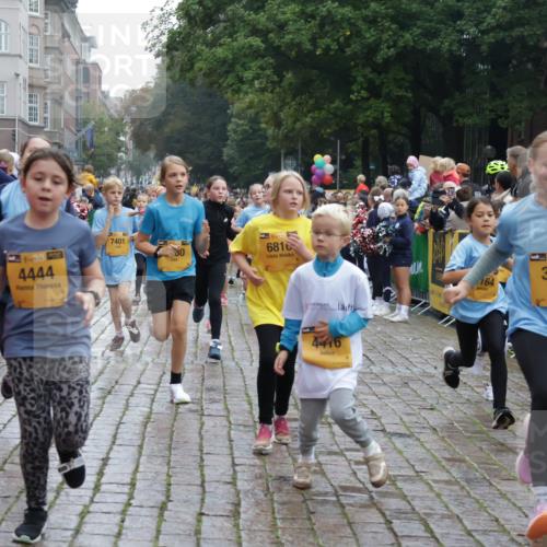 13.09.2026 - Kiel Lauf Yannick Fuchs http://msf.ph/oto/10406450 13.09.2026 08:58:58 Ziel 512, 1119, 1848, 2725, 3242, 5106, 5629, 6151, 6883, 6896, 7223, 7739, 7916, 8944, 10211, 10292, 10334, 10821, 11201, 11386, 11575, 11924, 27, 339, 515, 1188, 1348, 1382, 2100, 3217, 4622, 4965, 5092, 5200, 5201, 5536, 5537, 5908, 6573, 7022, 7407, 8354, 9773, 10211, 10242, 11252, 11430, 11783, 12297, 12517, 118, 3543, 3666, 3767, 4026, 4064, 4164, 4444, 6480, 6816, 7028, 7706, 8261, 9215, 9430, 1158, 1382, 3145, 3150, 3217, 3492, 3686, 4115, 4546, 4622 meine-sportfotos.de