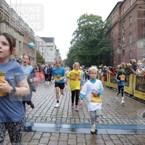13.09.2026 - Kiel Lauf Yannick Fuchs http://msf.ph/oto/10406478 13.09.2026 08:59:00 Ziel 512, 1848, 2725, 3242, 5106, 5629, 6883, 6896, 7223, 7739, 7916, 8944, 10292, 10334, 11201, 11575, 11924, 27, 339, 515, 1119, 1188, 1348, 1382, 2100, 3242, 4965, 5092, 5200, 5201, 5536, 5537, 5908, 6151, 6573, 7022, 7407, 8354, 9773, 10211, 10821, 11252, 11386, 11430, 11783, 11924, 12297, 12517, 118, 3543, 3666, 3767, 3803, 4026, 4064, 4164, 4426, 4444, 6480, 6816, 7028, 7401, 7706, 8261, 9215, 9293, 9430, 1158, 1382, 3217, 3686, 4115, 4546, 4622 meine-sportfotos.de