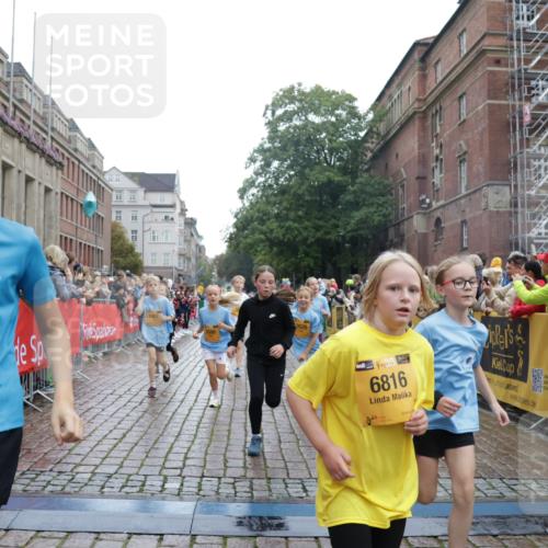 13.09.2026 - Kiel Lauf Yannick Fuchs http://msf.ph/oto/10406501 13.09.2026 08:59:02 Ziel 512, 1848, 2725, 4026, 5106, 5629, 6883, 6896, 7028, 7223, 7739, 7916, 8261, 8944, 10292, 10334, 11201, 11575, 27, 339, 515, 1119, 1188, 1348, 2100, 3242, 4965, 5092, 5200, 5201, 5536, 5537, 5908, 6151, 6573, 7022, 7407, 8354, 9773, 10211, 10821, 11252, 11386, 11430, 11783, 11924, 12297, 12517, 118, 3543, 3666, 3767, 3803, 3958, 4064, 4164, 4426, 4444, 5590, 6480, 6816, 7337, 7371, 7401, 7706, 9215, 9293, 9430, 1158, 1382, 3217, 3686, 4115, 4622 meine-sportfotos.de