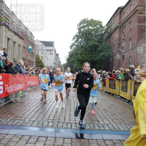 13.09.2026 - Kiel Lauf Yannick Fuchs http://msf.ph/oto/10406503 13.09.2026 08:59:02 Ziel 512, 1848, 2725, 4026, 5106, 5629, 6883, 6896, 7028, 7223, 7739, 7916, 8261, 8944, 10292, 10334, 11201, 11575, 27, 339, 515, 1119, 1188, 1348, 2100, 3242, 4965, 5092, 5200, 5201, 5536, 5537, 5908, 6151, 6573, 7022, 7407, 8354, 9773, 10211, 10821, 11252, 11386, 11430, 11783, 11924, 12297, 12517, 118, 3543, 3666, 3767, 3803, 3958, 4064, 4164, 4426, 4444, 5590, 6480, 6816, 7337, 7371, 7401, 7706, 9215, 9293, 9430, 1158, 1382, 3217, 3686, 4115, 4622 meine-sportfotos.de