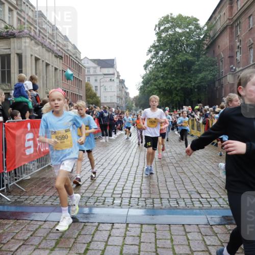 13.09.2026 - Kiel Lauf Yannick Fuchs http://msf.ph/oto/10406518 13.09.2026 08:59:03 Ziel 118, 512, 1848, 2725, 4026, 5106, 5629, 6883, 6896, 7028, 7223, 7739, 7916, 8261, 8944, 9215, 10292, 10334, 11201, 11575, 27, 339, 515, 1119, 1188, 1348, 2100, 3242, 4965, 5092, 5200, 5201, 5536, 5537, 5908, 6151, 6573, 7022, 7407, 8354, 9773, 10211, 10292, 10821, 11252, 11386, 11430, 11783, 11924, 12297, 12517, 3543, 3666, 3767, 3803, 3958, 4064, 4164, 4426, 4444, 5131, 5590, 6480, 6816, 7337, 7371, 7401, 7706, 9293, 9430, 1382, 3217, 3686, 4622 meine-sportfotos.de