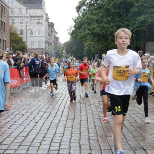 13.09.2026 - Kiel Lauf Yannick Fuchs http://msf.ph/oto/10406522 13.09.2026 08:59:04 Ziel 118, 512, 1848, 2725, 4026, 5106, 5629, 6883, 6896, 7028, 7223, 7739, 7916, 8261, 8944, 9215, 10334, 11201, 11575, 27, 339, 515, 1119, 1188, 1348, 2100, 3242, 4965, 5092, 5200, 5201, 5536, 5537, 5908, 6151, 6573, 6896, 7022, 7407, 8354, 9773, 10211, 10292, 10821, 11252, 11386, 11430, 11783, 11924, 12297, 12517, 3543, 3666, 3767, 3803, 3958, 4064, 4164, 4426, 4444, 5131, 5590, 6480, 6816, 7337, 7371, 7401, 7706, 9293, 9430, 1382, 3217, 4622 meine-sportfotos.de