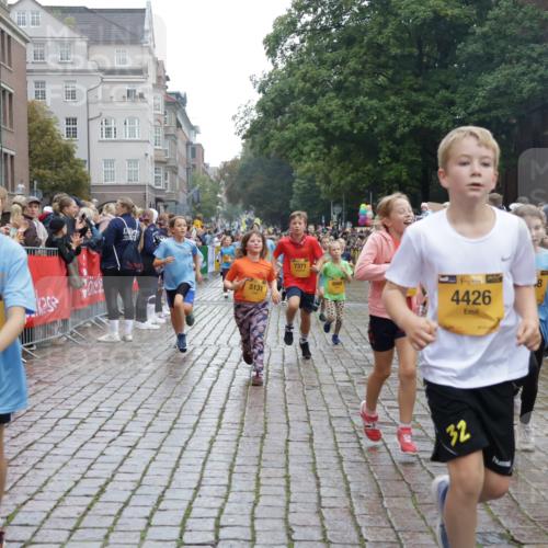13.09.2026 - Kiel Lauf Yannick Fuchs http://msf.ph/oto/10406524 13.09.2026 08:59:04 Ziel 118, 512, 1848, 2725, 4026, 5106, 5629, 6883, 6896, 7028, 7223, 7739, 7916, 8261, 8944, 9215, 10334, 11201, 11575, 27, 339, 515, 1119, 1188, 1348, 2100, 3242, 4965, 5092, 5200, 5201, 5536, 5537, 5908, 6151, 6573, 6896, 7022, 7407, 8354, 9773, 10211, 10292, 10821, 11252, 11386, 11430, 11783, 11924, 12297, 12517, 3543, 3666, 3767, 3803, 3958, 4064, 4164, 4426, 4444, 5131, 5590, 6480, 6816, 7337, 7371, 7401, 7706, 9293, 9430, 1382, 3217, 4622 meine-sportfotos.de