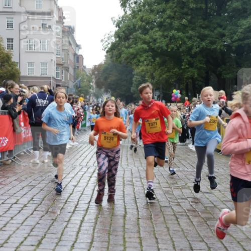 13.09.2026 - Kiel Lauf Yannick Fuchs http://msf.ph/oto/10406532 13.09.2026 08:59:05 Ziel 118, 512, 1848, 2725, 3666, 4026, 5106, 5629, 6883, 7028, 7223, 7739, 7916, 8261, 8944, 9215, 10334, 11201, 11575, 27, 339, 515, 1119, 1188, 1348, 2100, 3242, 4965, 5092, 5200, 5201, 5536, 5537, 6151, 6573, 6896, 7022, 7223, 7407, 8354, 9773, 10211, 10292, 10821, 11252, 11386, 11430, 11783, 11924, 12297, 12517, 3543, 3767, 3803, 3958, 4064, 4164, 4426, 4444, 4498, 5131, 5590, 6480, 6816, 7337, 7371, 7401, 7706, 9293, 9430, 1382, 3217, 4622 meine-sportfotos.de